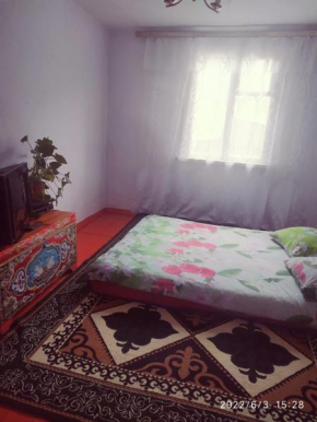 Akjol guest house.Altyn- Arashan Karakol
